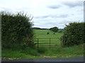 Field entrance near Merry Shiels