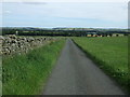 Farm road near Little Swinburne