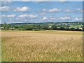 Farmland at Wild Hill