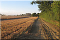 TL9139 : Wheat field being harvested, near Goulding's Farm, Newton by Roger Jones