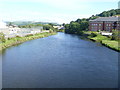 Afon Rheidol [2]