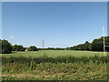 TL0652 : Playing Field at Mowsbury Park by Geographer