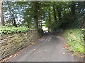 Greystones Road - viewed from John Naylor Lane