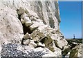 TV5795 : Arch on the Beachy Head cliffs by Adrian Diack