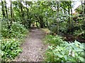 Footpath by the Godley Brook