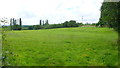 Pastoral scene near Bosbury