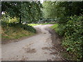 Footpath - School Lane