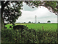 Pylon in a field near Mountpleasant