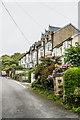 Brynymor Road/Ffordd Brynymor