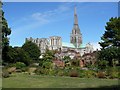 SU8504 : The Cathedral from the Palace Gardens, Chichester by Rob Farrow