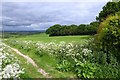 Centenary Way to Wharram Percy