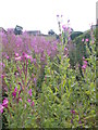 Footpath - Hebden Road