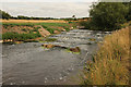 SK6983 : Weir on the River Idle by Richard Croft