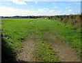 Field on the south side of Orton Lane near Clarbeston Road, Pembrokeshire