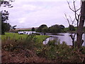 Activity on the Newton Hill fishing lake