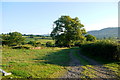 Track to Brimblecombe Farm