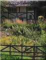 Garden, East Mascalls Farm