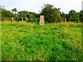 Knitting Row Trig Point