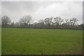 ST6129 : Countryside near North Barrow by N Chadwick