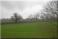 ST6129 : Somerset farmland by N Chadwick