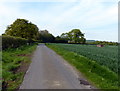 Heading north along Boddington Road