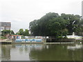 Entrance to Chiswick Quay Marina