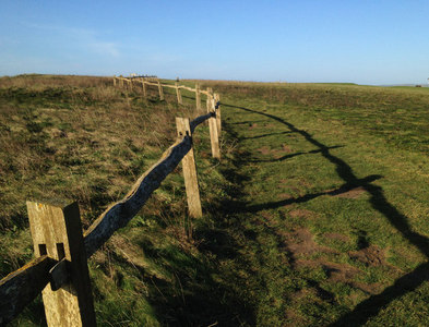 TV4997 : Timber fence, Seaford Head by Robin Stott
