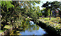 Westgate Gardens, Canterbury