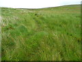SD8568 : Grass track and little valley off the track on Out Fell, Malham Moor by Humphrey Bolton