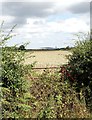 View north from Hodsock Lane, North Carlton