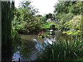 Village pond, Titmore Green