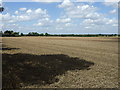 Stubble field, Holwell