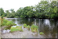 SJ0843 : The Afon Dyfrdwy (River Dee) at Corwen by Jeff Buck