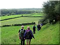 Tuat at Bont Canaston / Towards Canaston Bridge