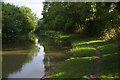 SP6593 : Grand Union Canal, Fleckney by Stephen McKay