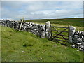 SD8667 : Gate and stile on the bridleway to the Darnbrook road, Malham Moor by Humphrey Bolton