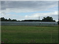 Greenhouses north of Tempsford Road