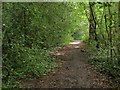 Scrase Valley Nature Reserve