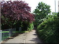 Path beside Offley Road