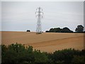 Partly-harvested wheat and pylon