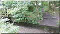 Footbridge and fording point over the River Yarrow