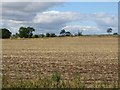 NT9053 : Arable land south of Hutton by Graham Robson