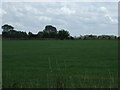 Farmland off Hitchin Road (B659)