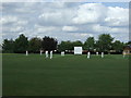 Cricket pitch, Hemlow