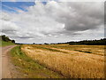 Track and field at Omachie, Kingennie