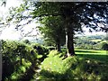 Llwybr Ceffyl Groes Bridleway