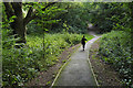 Path through the woods