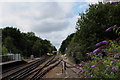 Looking North West from Lenham Station