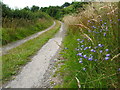 Little used minor lane near Garreg-y-gath