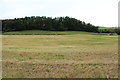 Farmland at Haugh of Urr